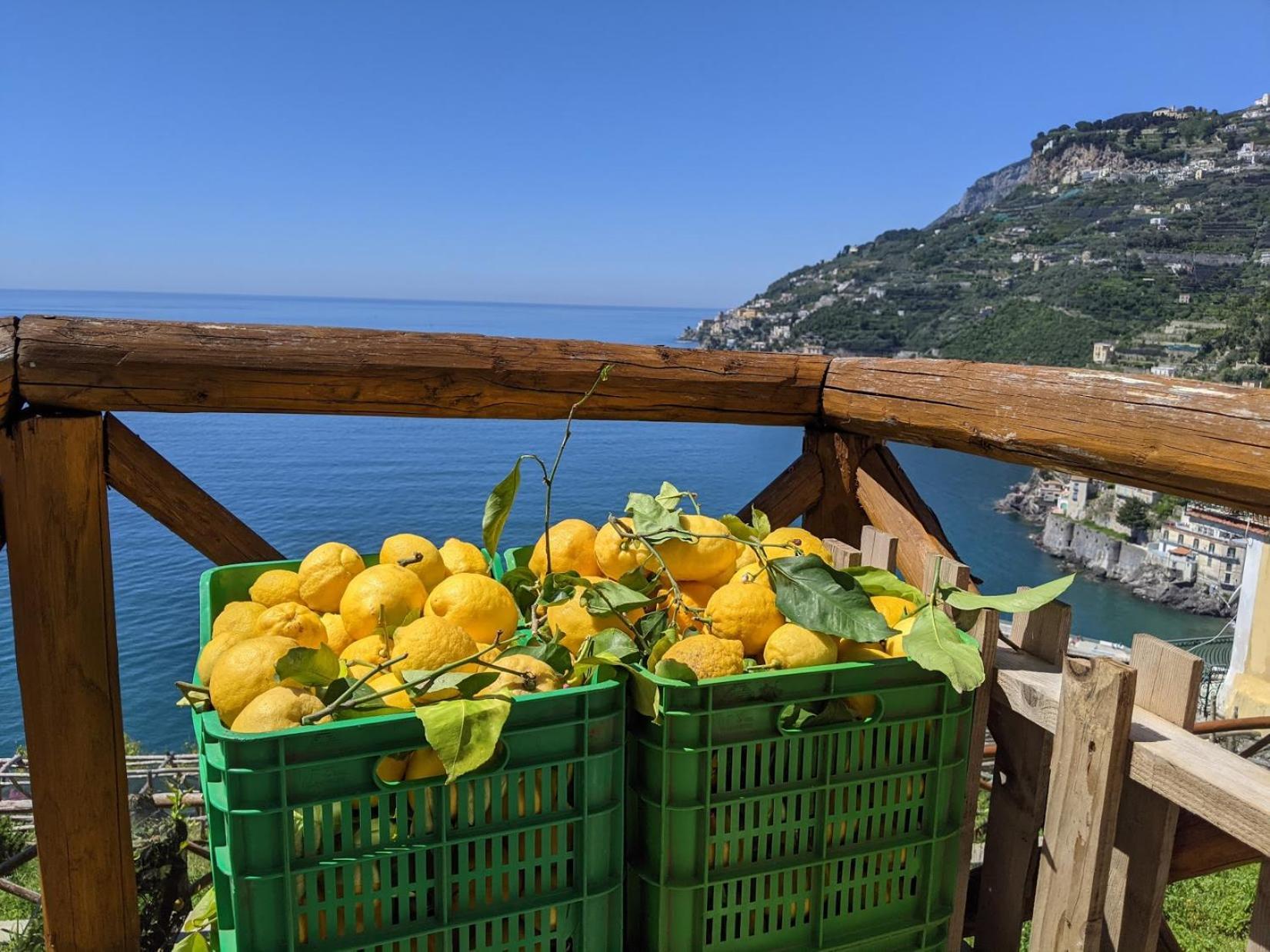 Casa Vacanze Freeholiday House Minori Eksteriør billede