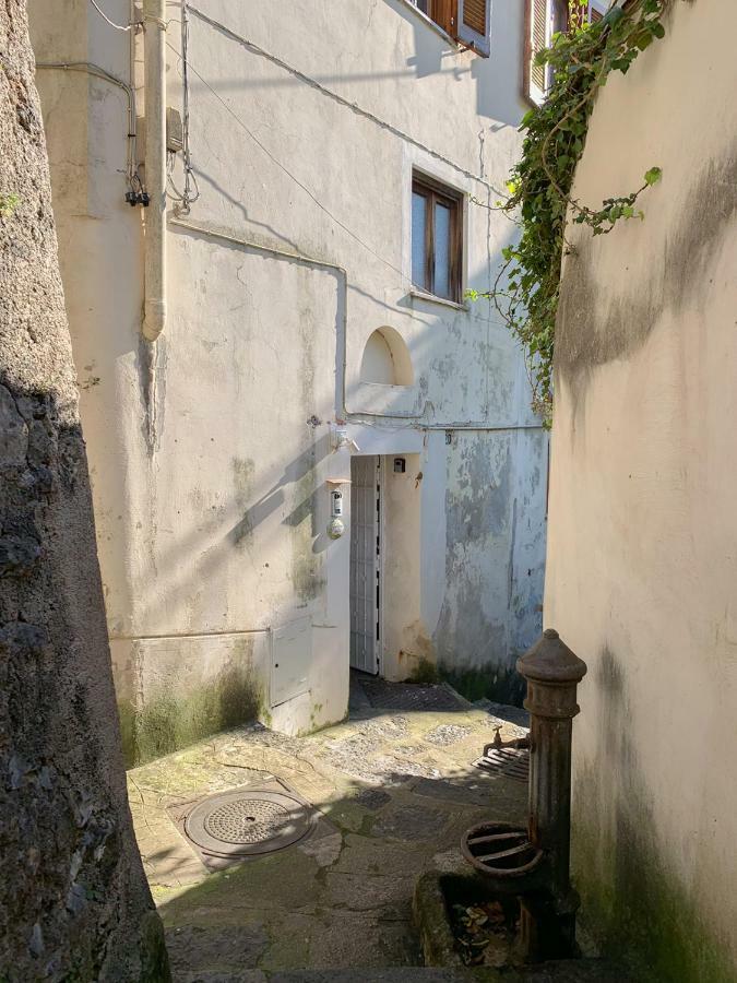 Casa Vacanze Freeholiday House Minori Eksteriør billede